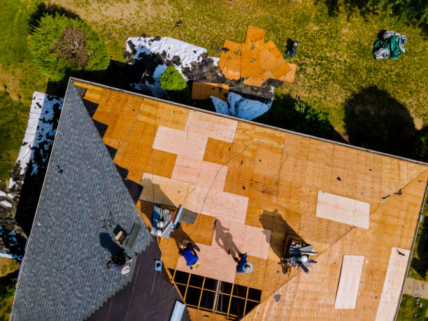 Best Flat Roof Repair Services  in Winfield, MO