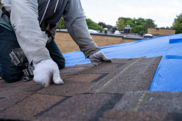 Best Slate Roofing Contractor  in Winfield, MO