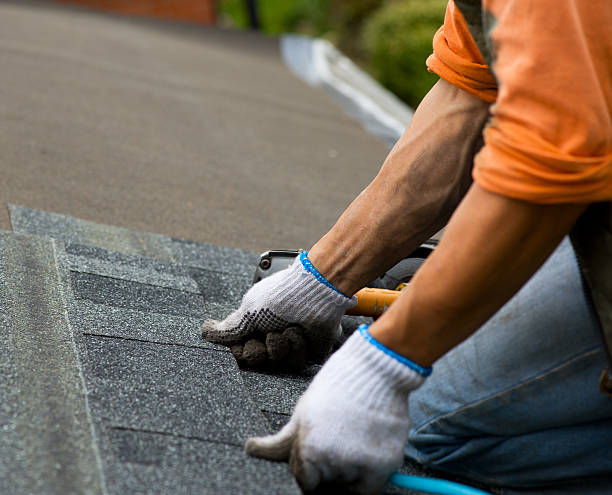 Best Gutter Installation and Roofing  in Winfield, MO